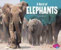 A_herd_of_elephants