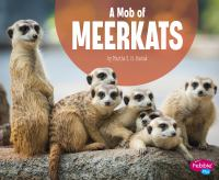 A_mob_of_meerkats